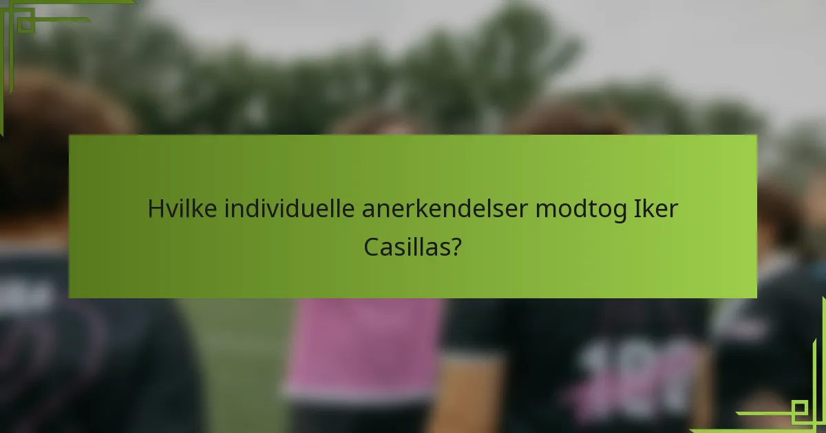 Hvilke individuelle anerkendelser modtog Iker Casillas?