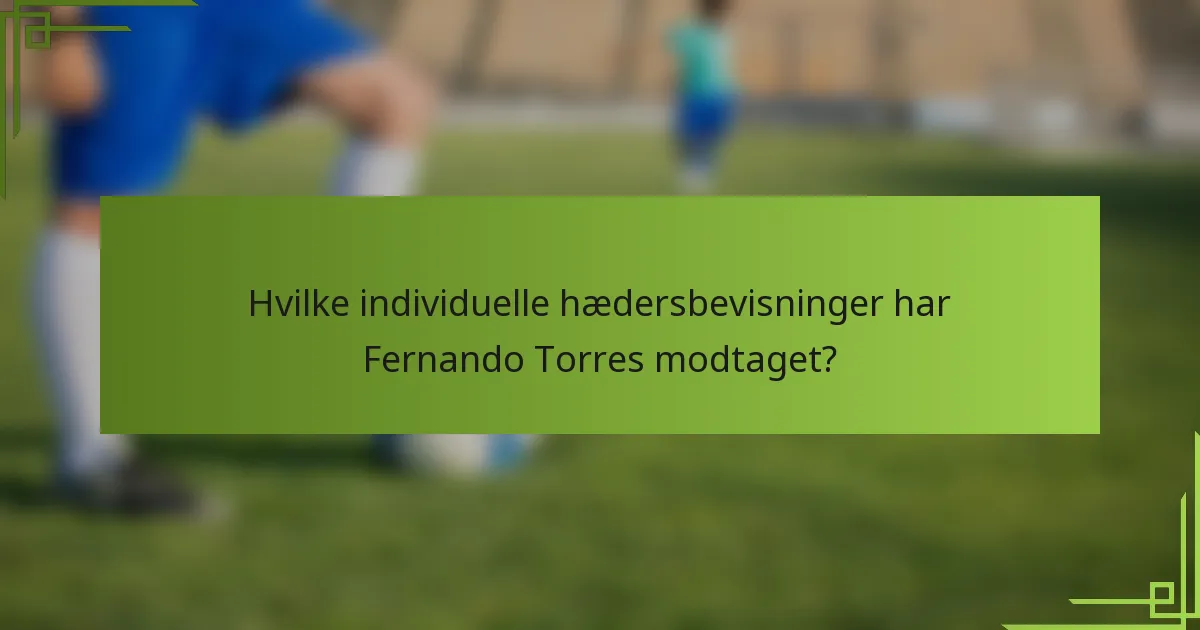 Hvilke individuelle hædersbevisninger har Fernando Torres modtaget?