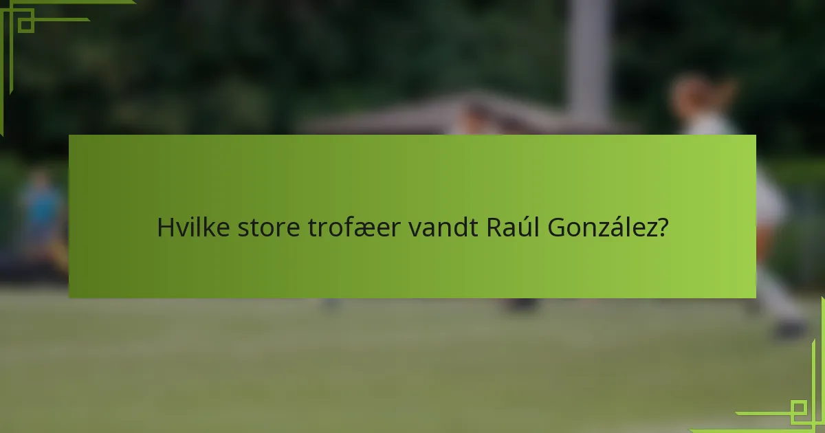 Hvilke store trofæer vandt Raúl González?