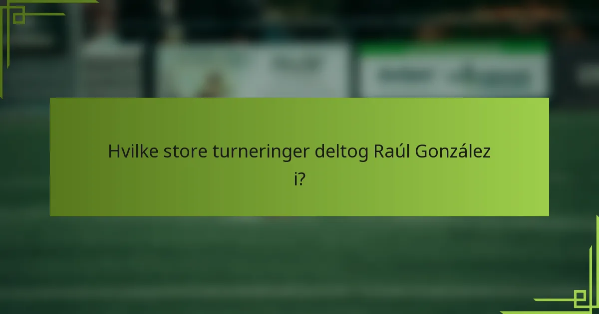 Hvilke store turneringer deltog Raúl González i?