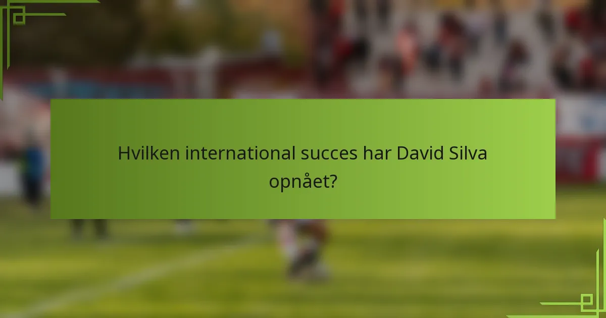 Hvilken international succes har David Silva opnået?