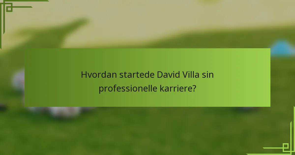 Hvordan startede David Villa sin professionelle karriere?