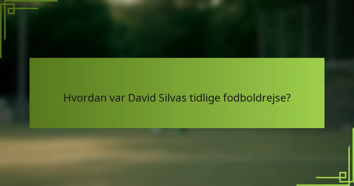 Hvordan var David Silvas tidlige fodboldrejse?